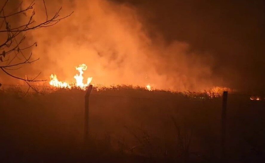 Adıyaman'ın Gölbaşı ilçesindeki Sülüklü Göl mevkiinde, yakınlardaki kamışlık alanda çıkan