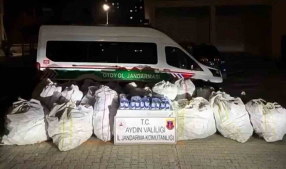 Aydın'da jandarma, otoyolda durdurduğu iki araçta piyasa değeri 1 milyon