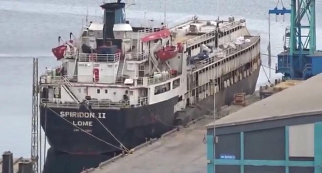 Bandırma açıklarında demirleyen Spiridon-II isimli gemide incelemeler sonrası hayvanların kötü