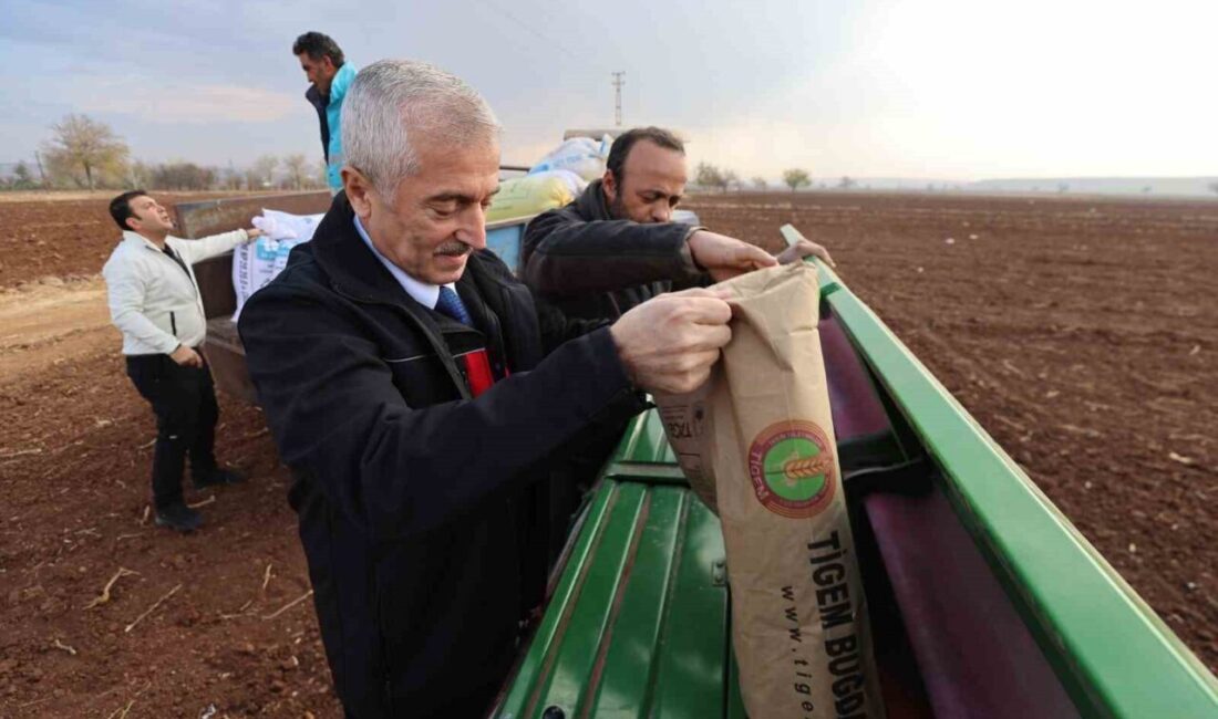Başkan Tahmazoğlu, Çiftçilere Tohum ve Gübre Dağıtarak Tarımsal Üretimi Destekliyor Şahinbey Belediye Başkanı Mehmet Tahmazoğlu, Mülk Köyü'nde çiftçilere buğday tohumu