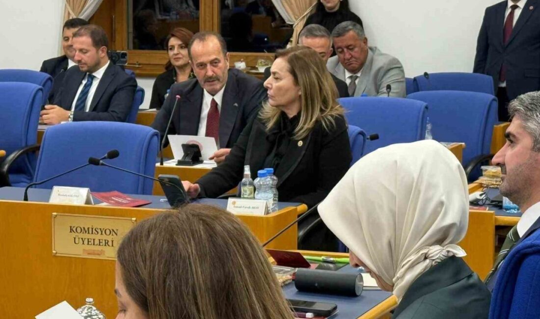 MHP Genel Sekreter Yardımcısı Tamer Osmanağaoğlu, TBMM Plan ve Bütçe