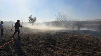 Adıyaman’ın Gölbaşı ilçesine bağlı Çelik köyü yakınlarında anız kalıntıları alev