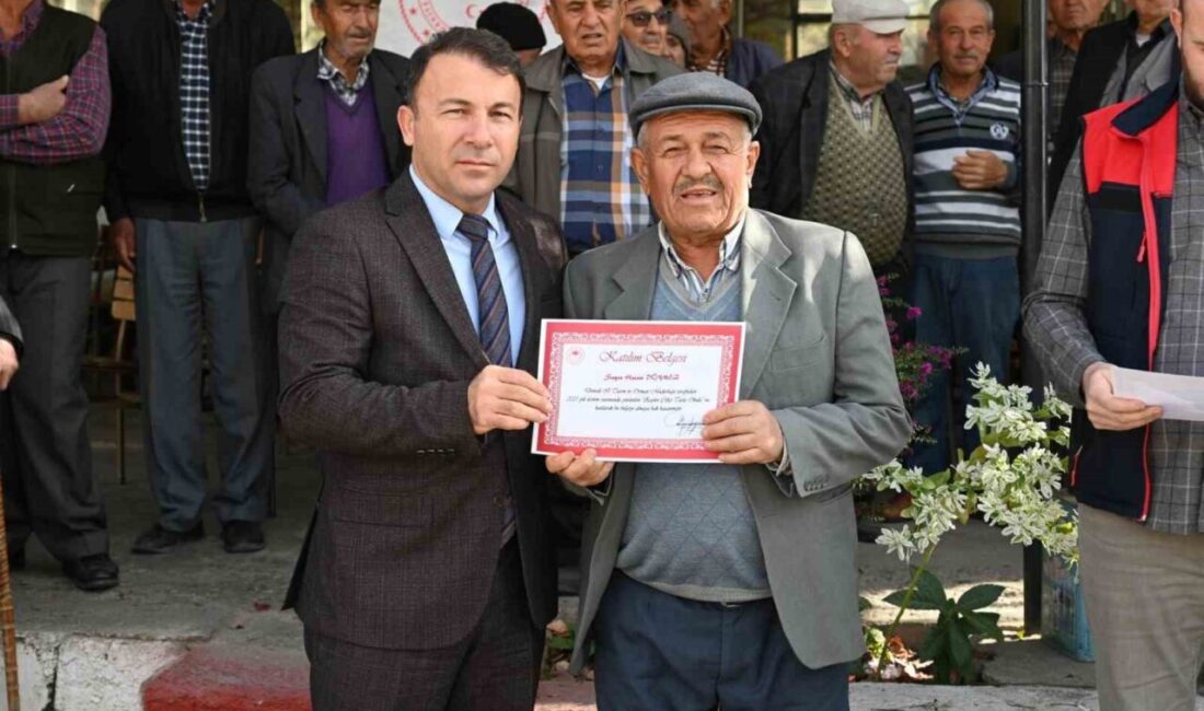 Denizli'nin Tavas ilçesindeki Seki Mahallesi'nde düzenlenen 'Zeytin Çiftçi Tarla Okulu'