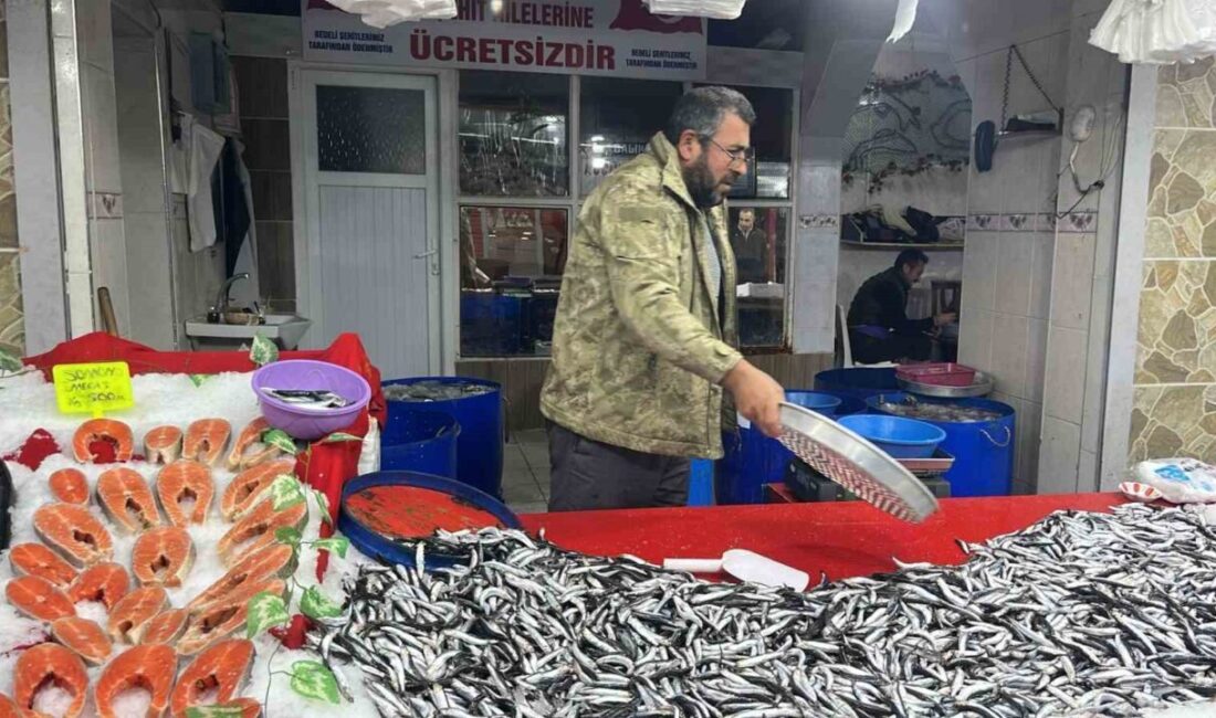 Kütahya'nın Tavşanlı ilçesindeki Balık Pazarı, taze balık çeşitleriyle dikkat çekiyor.