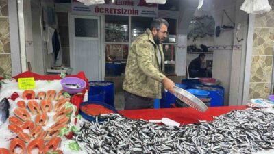 Kütahya'nın Tavşanlı ilçesindeki Balık Pazarı, taze balık çeşitleriyle dikkat çekiyor.