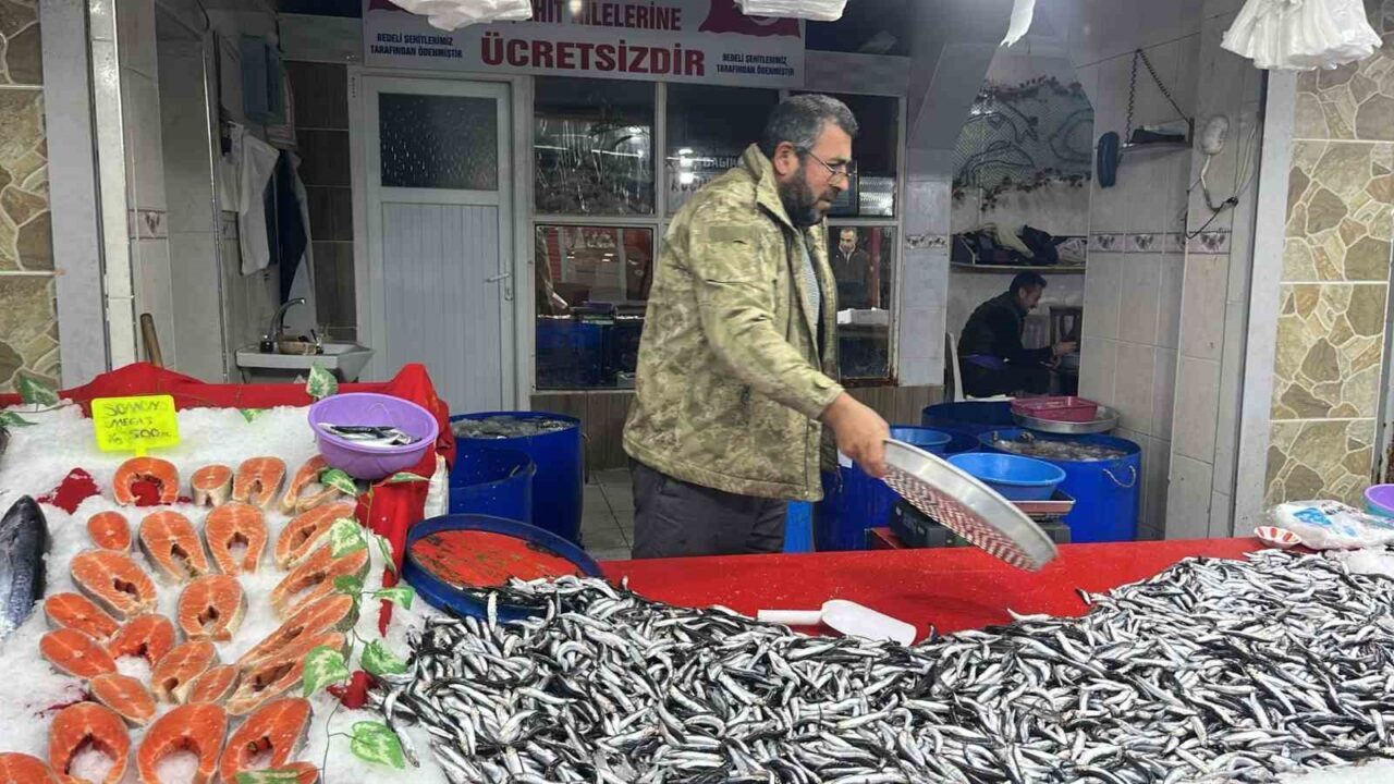 Kütahya'nın Tavşanlı ilçesindeki Balık Pazarı, taze balık çeşitleriyle dikkat çekiyor.
