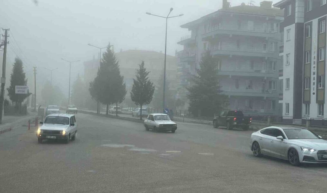 Kütahya'nın Tavşanlı ilçesinde yoğun sis, günlük hayatı olumsuz etkiliyor. Görüş