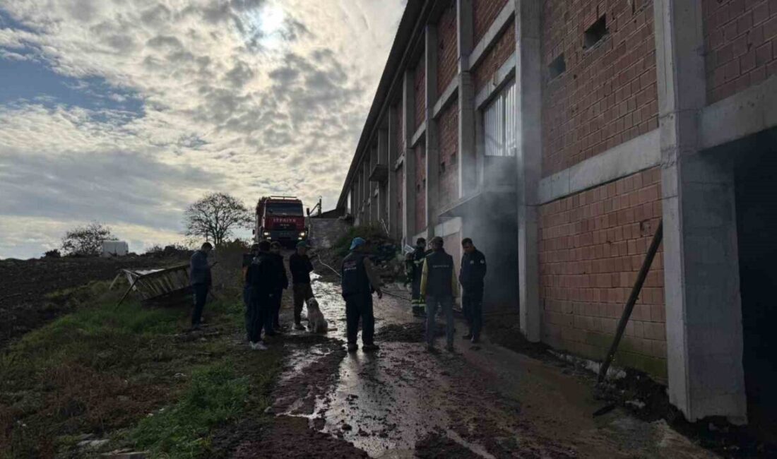Sakarya'nın Kaynarca ilçesindeki H.B.'ye ait 60 bin kapasiteli tavuk çiftliğinde