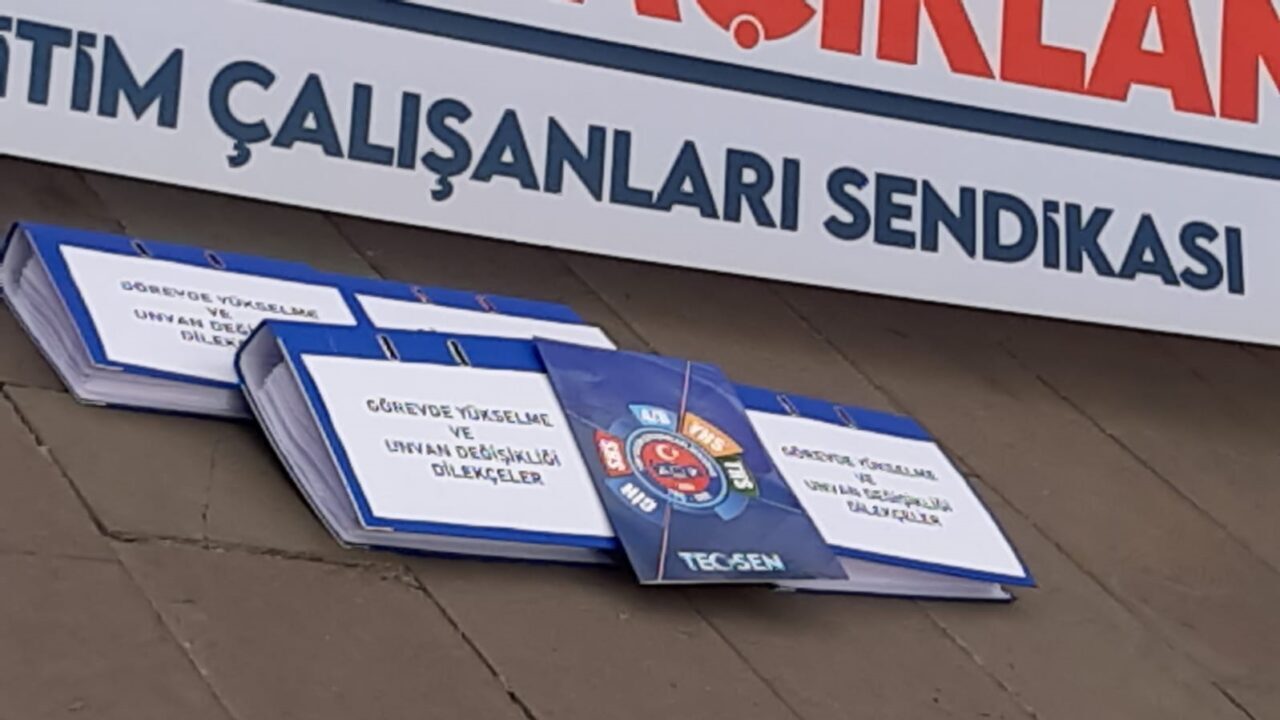 Tüm Eğitim Çalışanları Sendikası (TEÇ-SEN) ve Devlet Memurları Konfederasyonu (DMK),