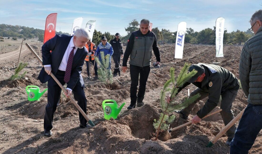 TEI, 40. Yıl Hatıra Ormanı ile Orman Yangınlarına Karşı Mücadelede Önemli Bir Adım Attı Türkiye havacılık sektöründeki yenilikleriyle tanınan TEI, 40. yılına özel 17
