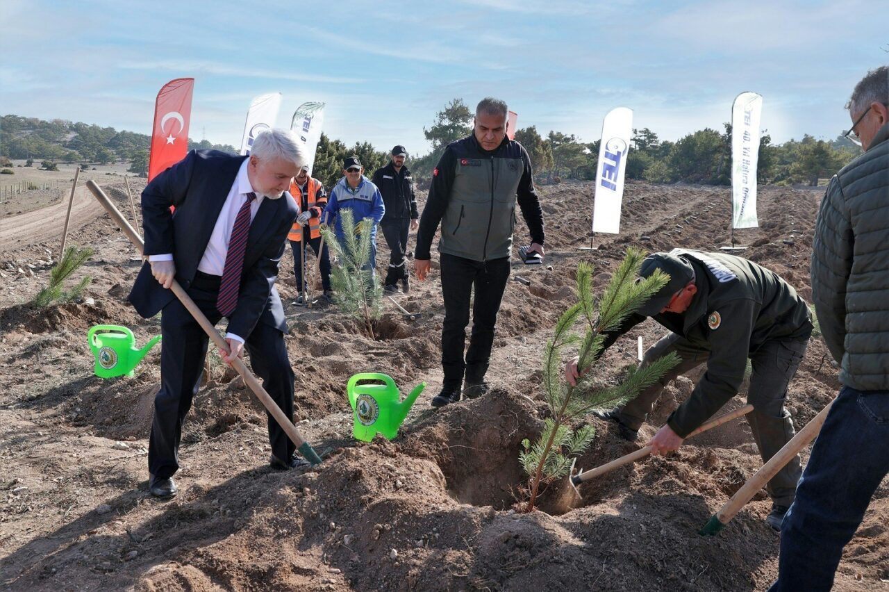 1985'ten beri önemli projelere imza atan TEI, 17 bin fidan
