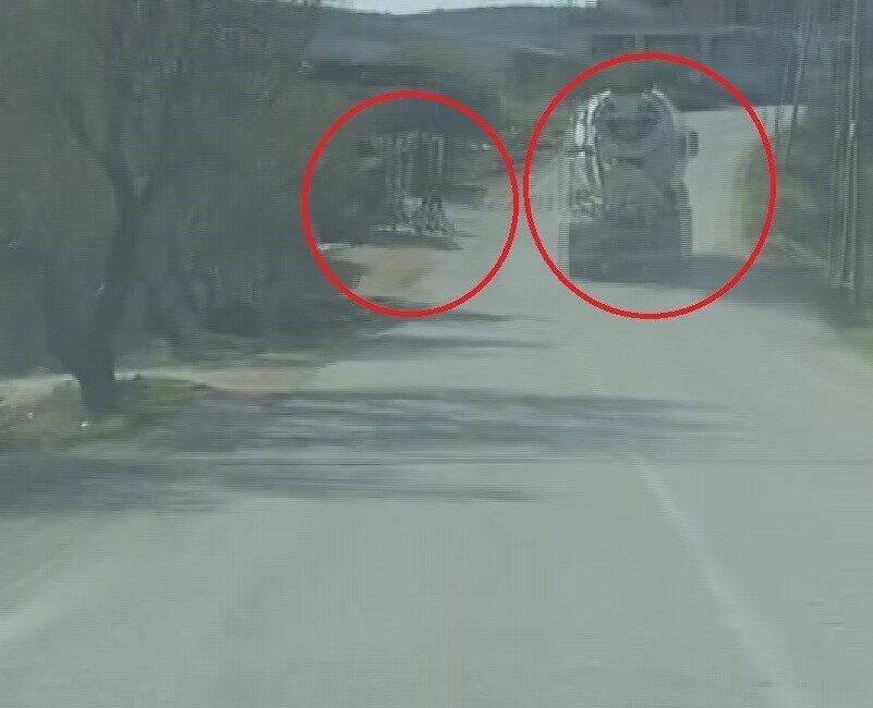 Hatay'ın Altınözü ilçesinde, tek şeritli yolda 100 km hızla giden