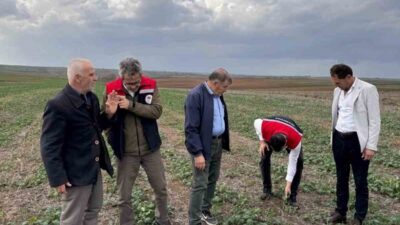 Tekirdağ İl Tarım ve Orman Müdürü Mehmet Aksoy, Süleymanpaşa Karacakılavuz'da