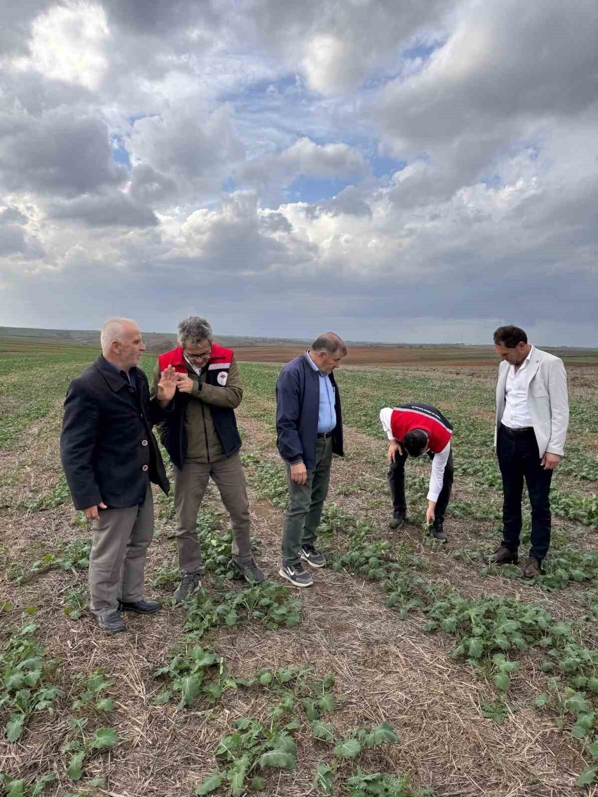 Tekirdağ’da Kanola Ekim Alanları Yerinde Değerlendirildi