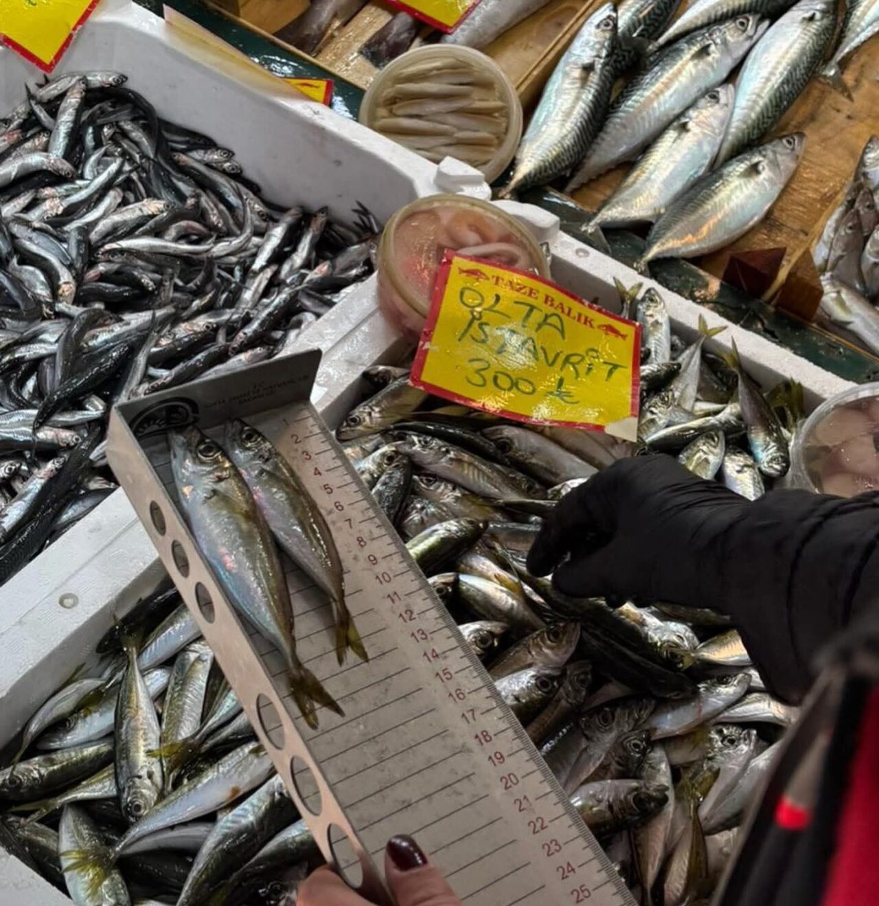Tekirdağ Tarım ve Orman Müdürlüğü, perakende balık satış noktalarında 1380
