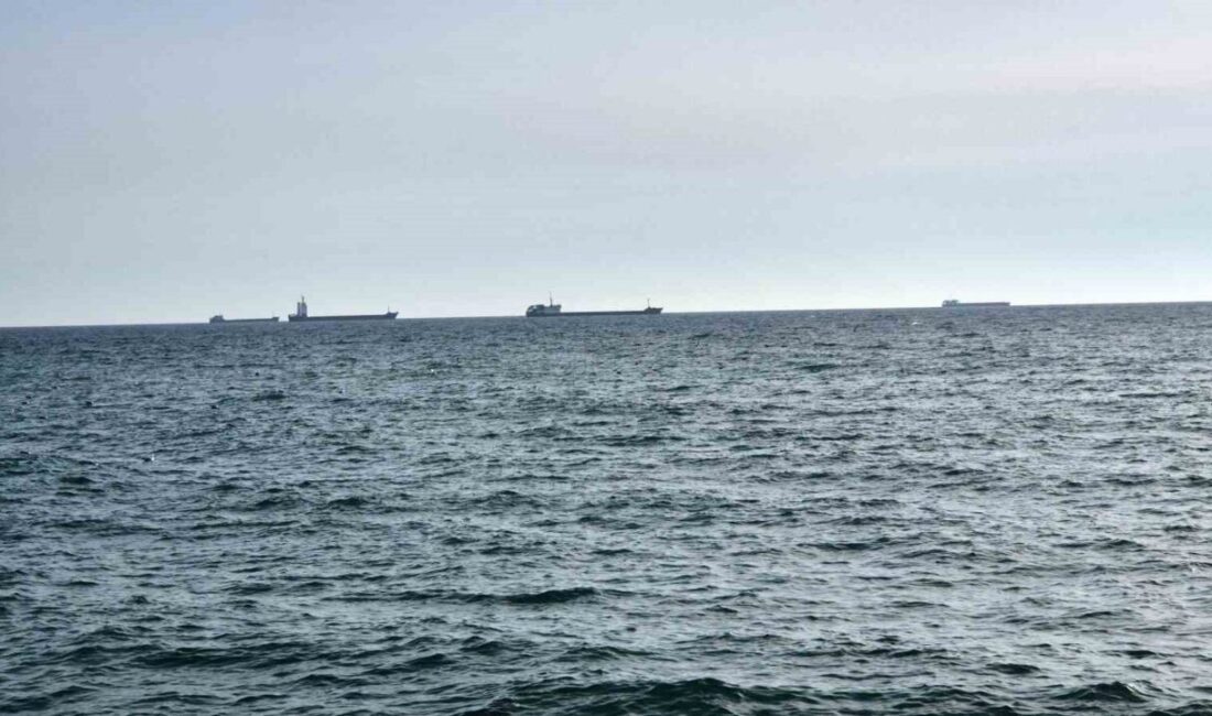 Marmara’da Lodos Fırtınası Balıkçıları Limana Geri Döndürdü Marmara Denizi'nde etkili olan lodos fırtınası, Tekirdağ'daki balıkçıları zorladı. Sabah