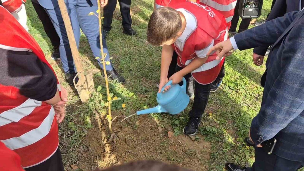 Tekirdağ'ın Süleymanpaşa ilçesinde düzenlenen "Türkiye Yeşeriyor Gazze Güçleniyor" projesi kapsamında