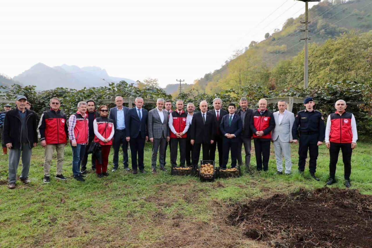 Ordu'da kivi hasadı başladı; İbrahim Yeşilyurt'un bahçesinde gerçekleşen etkinliğe katılan