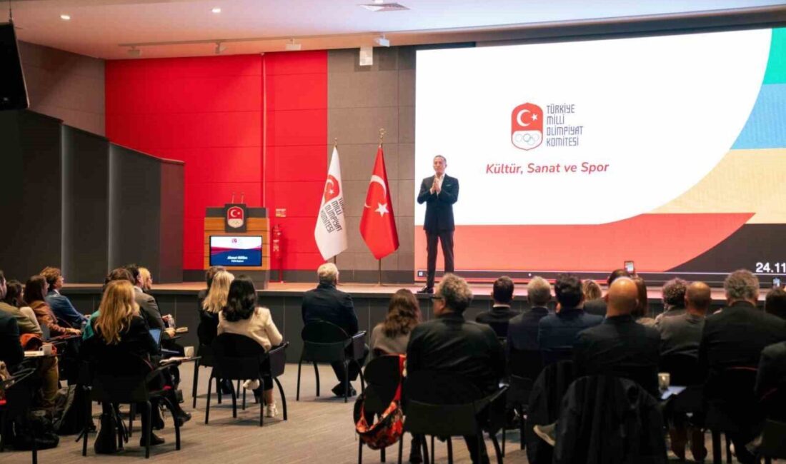 Türkiye Milli Olimpiyat Komitesi, İstanbul Kültür ve Sanat Kurumları Bilgilendirme