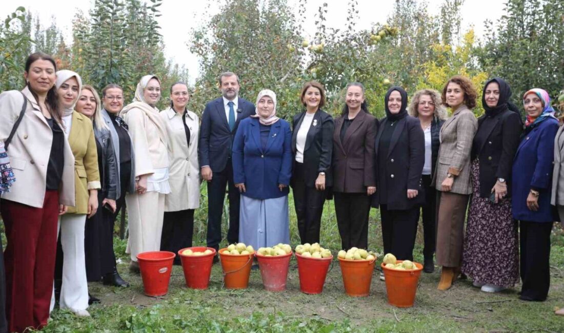 Kadınlar Armudun Hasadında Buluştu: Gürsu’da Emek ve Birliktelik Ön Planda Bursa'nın Gürsu ilçesinde, iş kadınları ve köylü kadınlarının bir araya