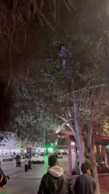 Kocaeli'nin Gölcük ilçesinde çocuklar oyun oynarken, topu ağaca takıldı. Topu