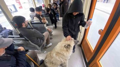 Eskişehir'de tramvaya binen bir sokak köpeği, yolcuların ilgisini çekti. Bir