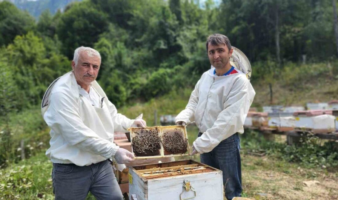 Karabük'ün Yenice ıhlamur balı, AB Komisyonu tarafından coğrafi işaretli ürün