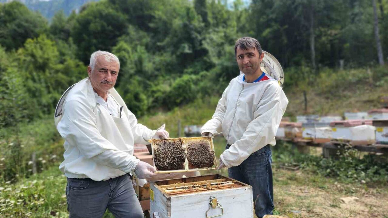 Karabük'ün Yenice ıhlamur balı, Avrupa Birliği tarafından coğrafi işaretle tescillendi