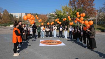 Düzce Üniversitesi Genç KADEM Topluluğu, 25 Kasım Kadına Yönelik Şiddete