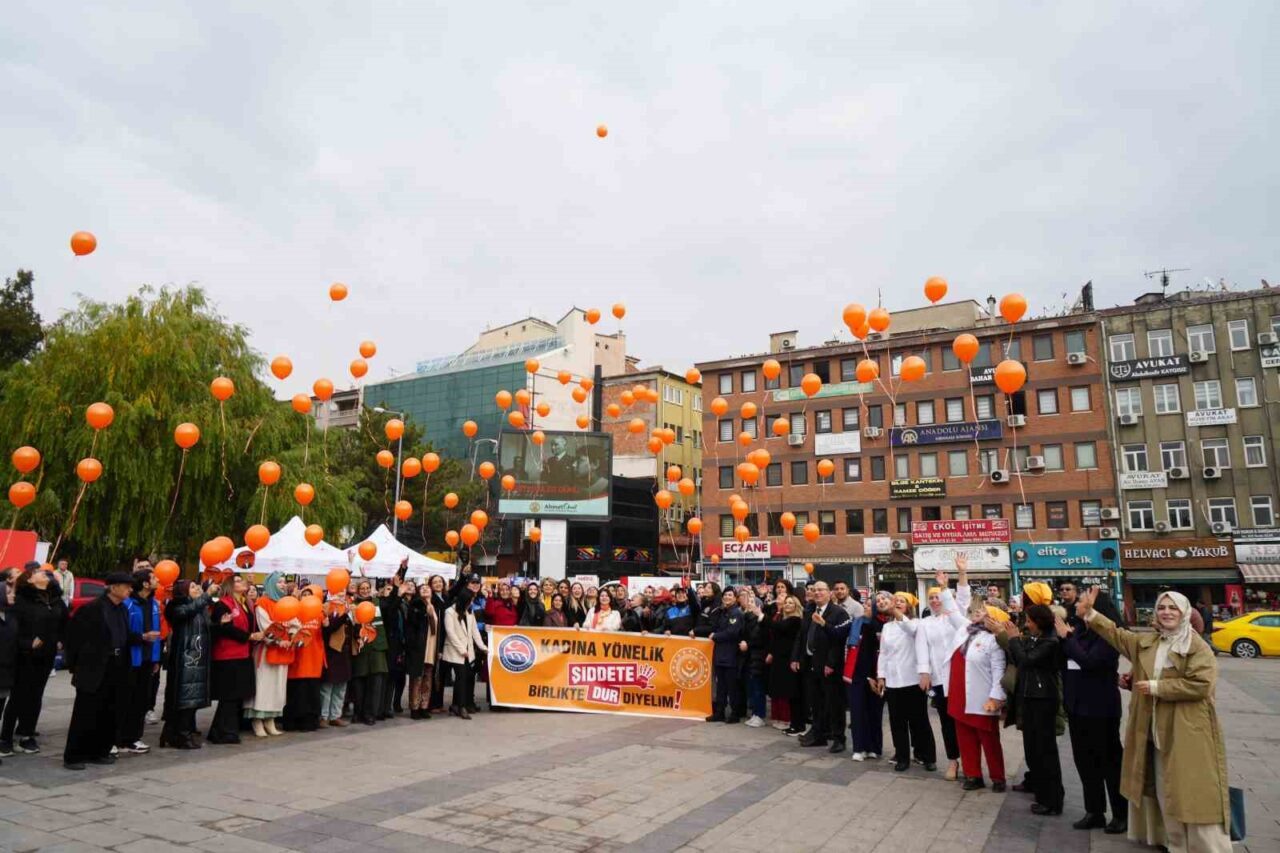 Kırıkkale'de 25 Kasım Kadına Yönelik Şiddete Karşı Uluslararası Mücadele Günü'nde