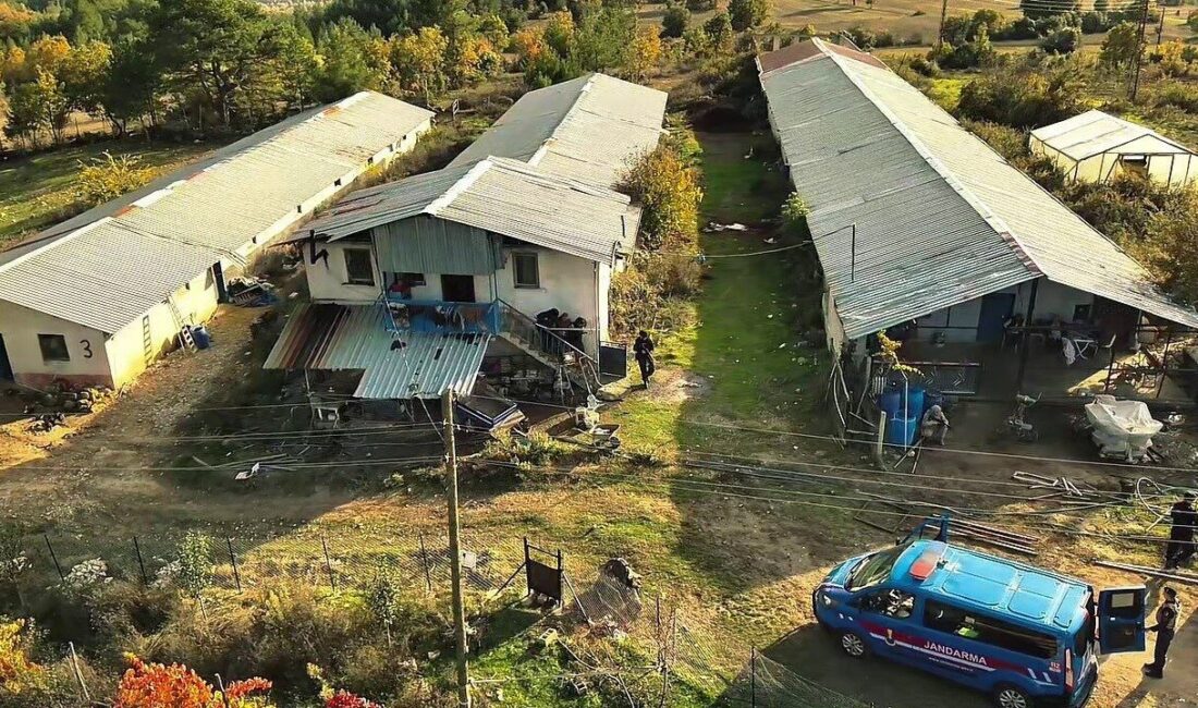 Karabük’te Aranan Suçlu, Saklandığı Hayvan Çiftliğinde Jandarma Tarafından Yakalandı Karabük'ün Safranbolu ilçesinde, 12 suçtan toplamda 29 yıl hapis cezası