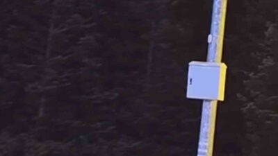 Bursa'nın Uludağ bölgesinde bir grup ayı, kış uykusuna girmeden Sarıalan'daki