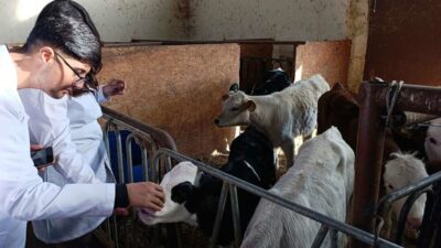 Ardahan Üniversitesi Nihat Delibalta Göle MYO öğrencileri, Van Yüzüncü Yıl