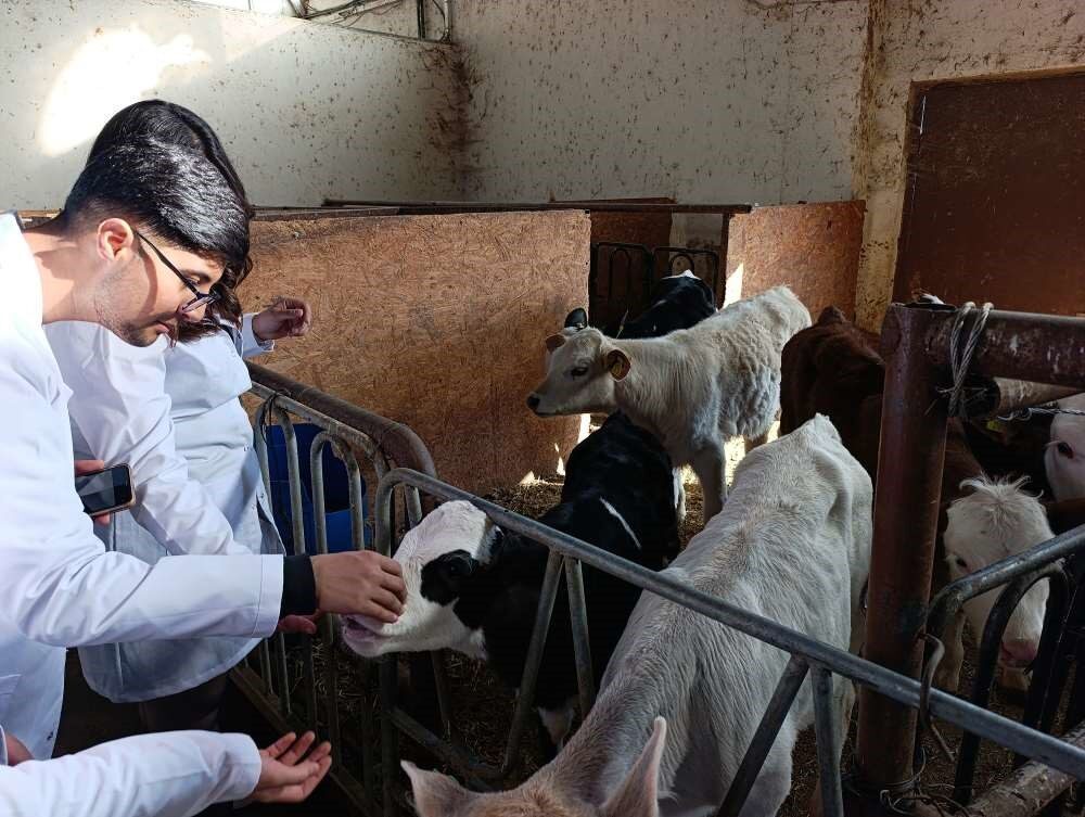 Ardahan Üniversitesi Nihat Delibalta Göle MYO öğrencileri, Van Yüzüncü Yıl