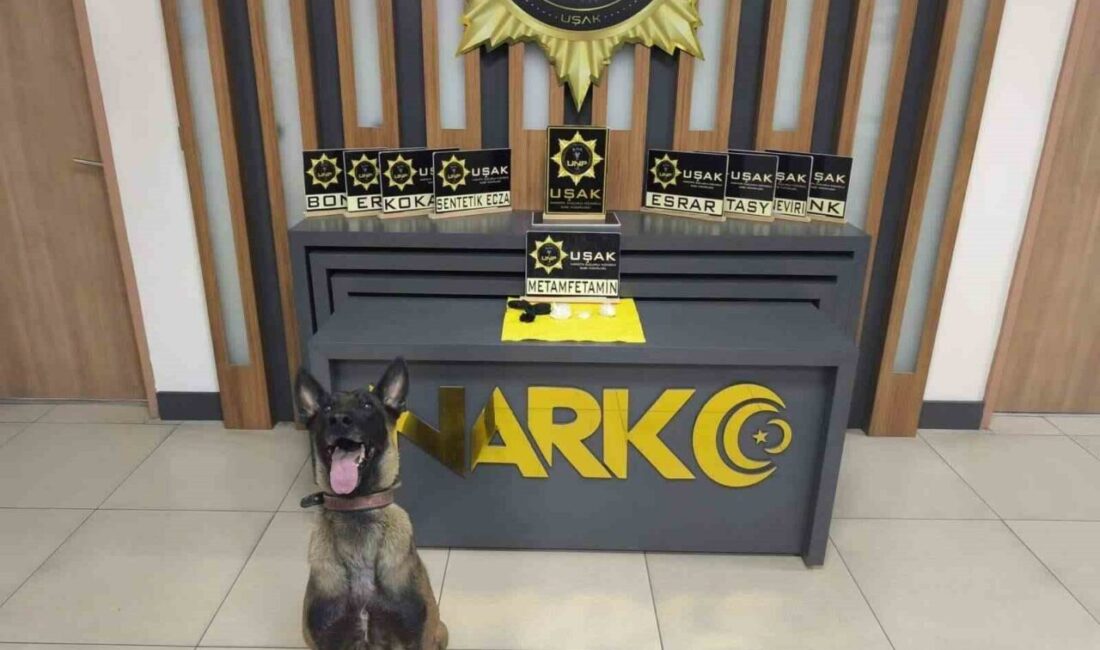 Uşak’ta Uyuşturucu Operasyonu: İki Araçta Yüzlerce Gram Metamfetamin Ele Geçirildi Uşak’ta narkotik ekipleri, "Uyuşturucu Madde Ticareti" kapsamında durdurulan iki otomobilde