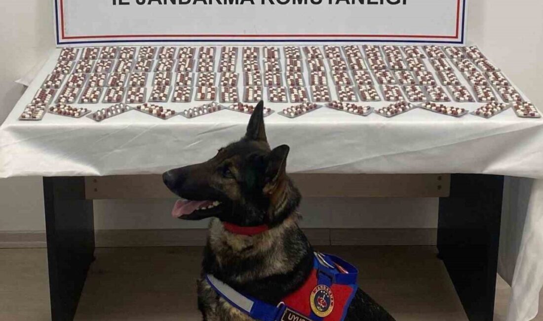 Tosya’da Jandarma Operasyonu: 1.344 Sentetik Ecza Hapı Ele Geçirildi, Şüpheli Tutuklandı Kastamonu’nun Tosya ilçesinde jandarma tarafından gerçekleştirilen operasyonda, M.V. isimli bir