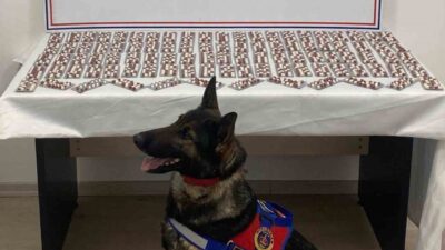 Kastamonu’nun Tosya ilçesinde jandarma tarafından gerçekleştirilen operasyonda, M.V. isimli bir