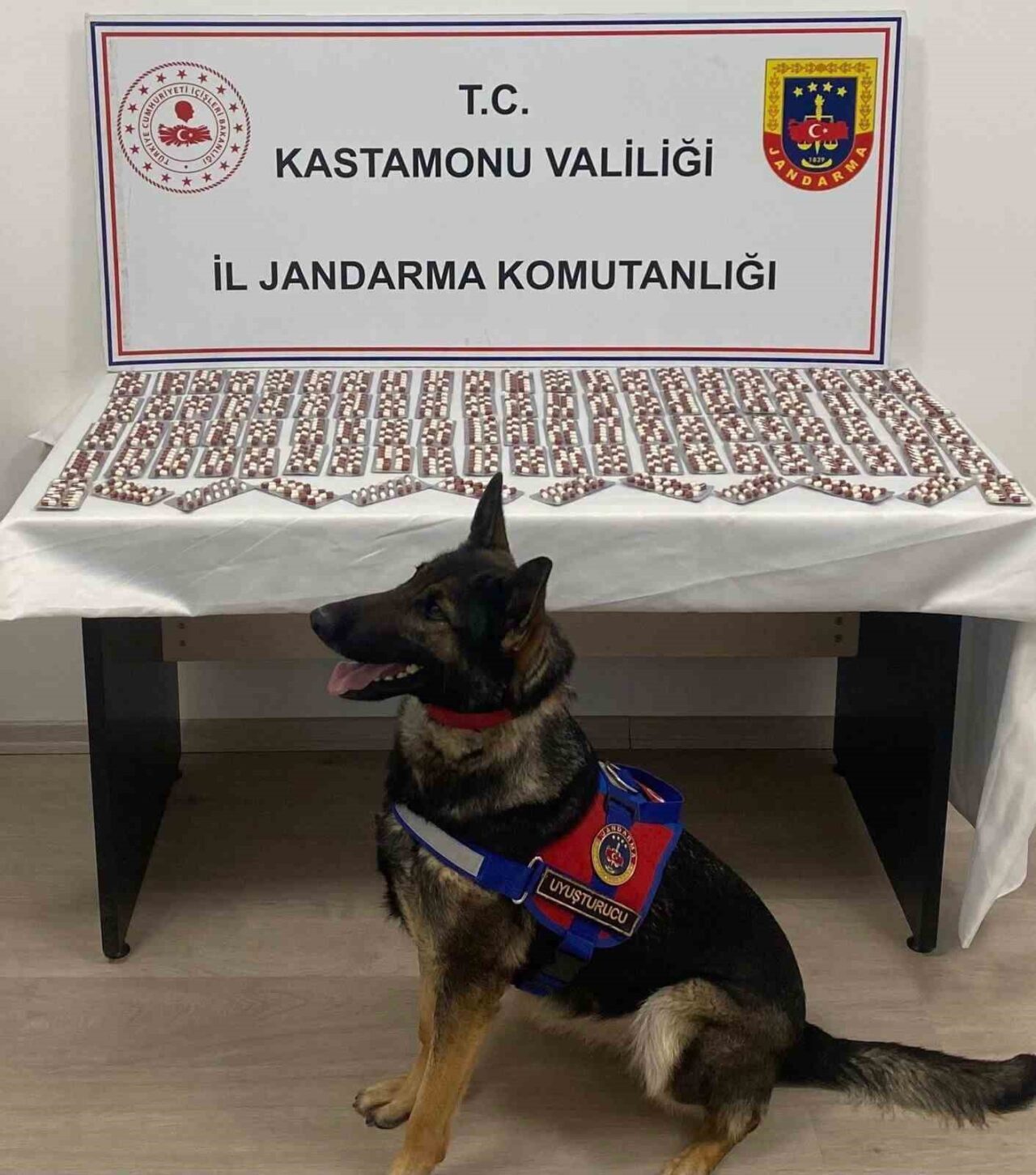 Kastamonu’nun Tosya ilçesinde jandarma tarafından gerçekleştirilen operasyonda, M.V. isimli bir