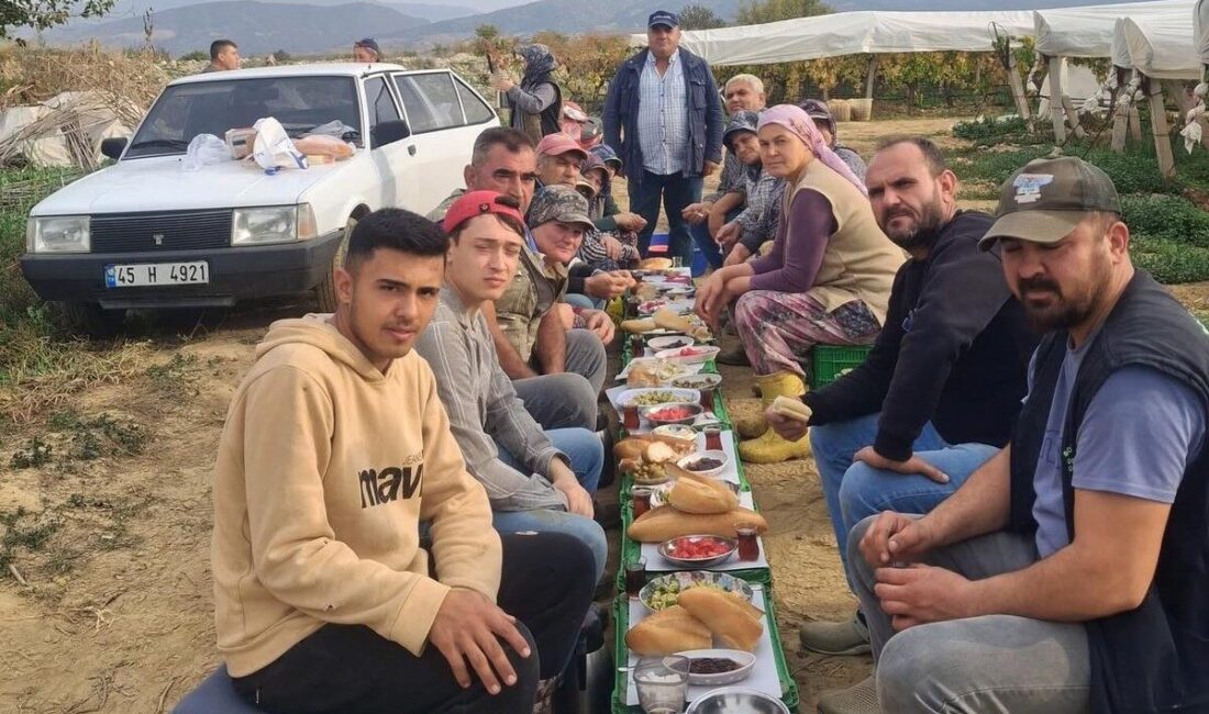 Sarıgöl'de üzüm hasadı sırasında, tüccar Kubilay Tanrıöver işçilerine sezon boyunca