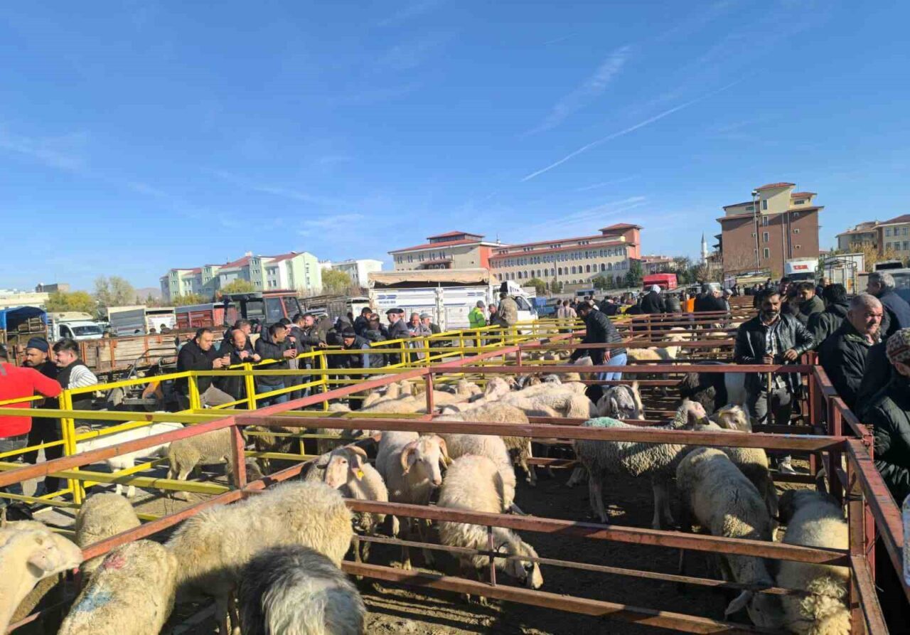 Afyonkarahisar'ın Şuhut ilçesindeki küçükbaş hayvan pazarı, hastalıklar nedeniyle kapalı kaldıktan