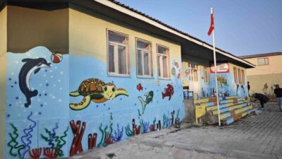 Van Güzel Sanatlar Lisesi öğrencileri, Saray ilçesindeki bir anaokulunun duvarlarını