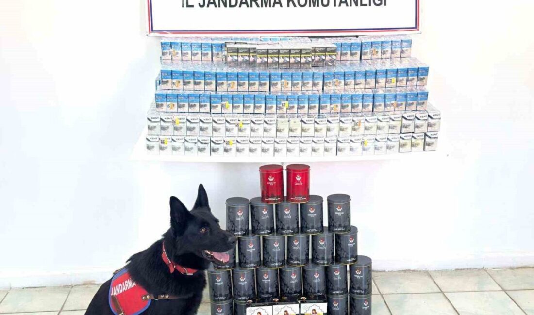 Erciş’te Jandarma Operasyonu: Kaçak Sigara ve Çay Ele Geçirildi Van'ın Erciş ilçesinde gerçekleştirilen jandarma operasyonunda 2 bin 590 paket