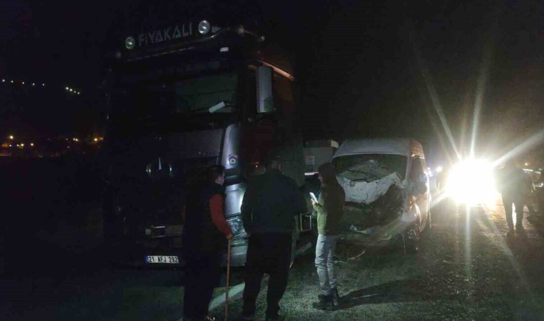 Van'ın Gevaş ilçesinde, yola aniden çıkan bir inek, 34 PB