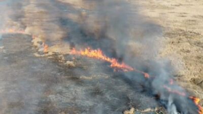 Van'ın Özalp ilçesinde yer alan Çırak sazlığında çıkan yangına itfaiye