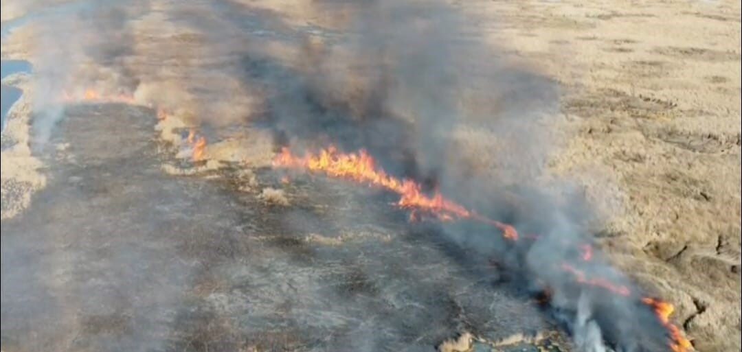 Van'ın Özalp ilçesinde yer alan Çırak sazlığında çıkan yangına itfaiye