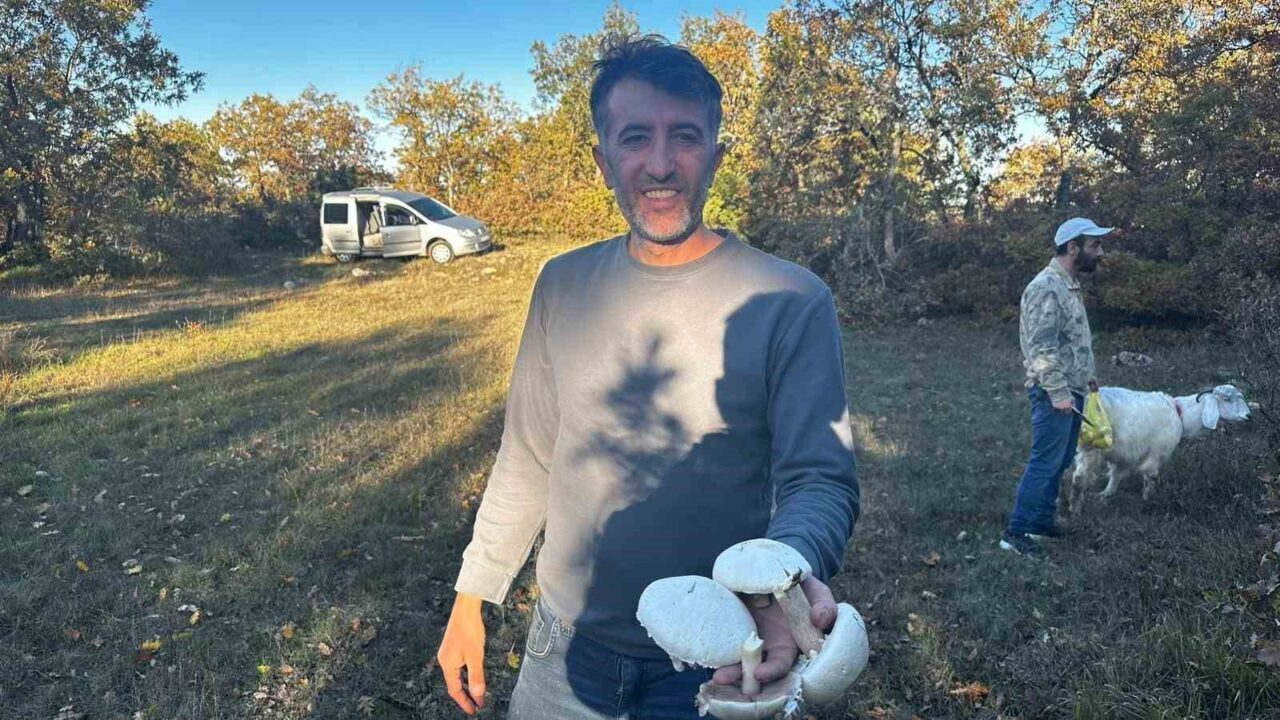 Bilecik'te etkili yağışların ardından mantar sezonu başladı. Mantar toplayıcısı Süleyman