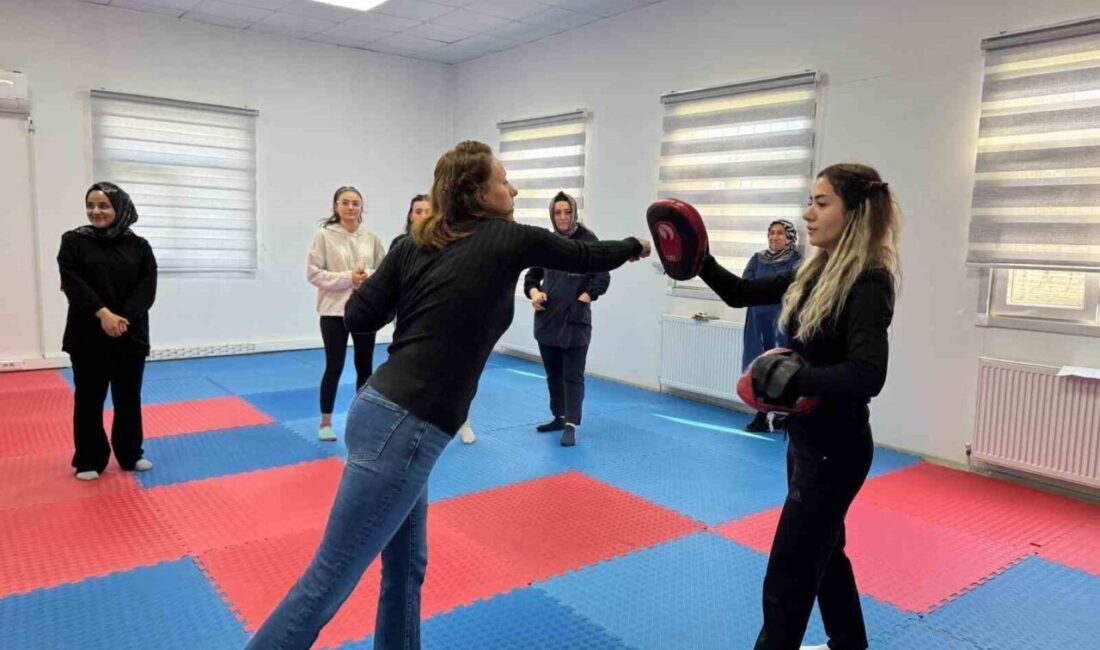 Diyarbakır Büyükşehir Belediyesi, 25 Kasım Kadına Yönelik Şiddetle Mücadele Günü