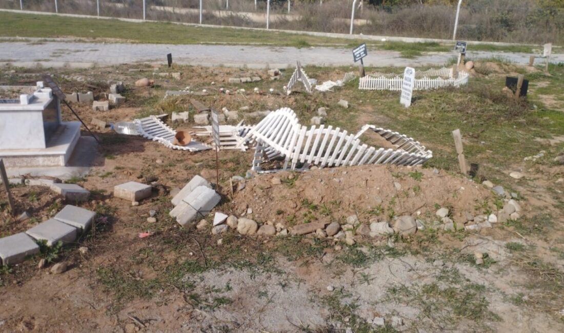 Aydın'ın Efeler ilçesindeki Kuyulu Mezarlığı’na başıboş atların girmesi mezar taşlarının