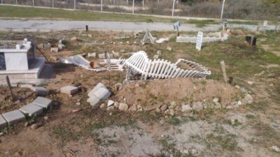 Aydın'ın Efeler ilçesindeki Kuyulu Mezarlığı’na başıboş atların girmesi mezar taşlarının