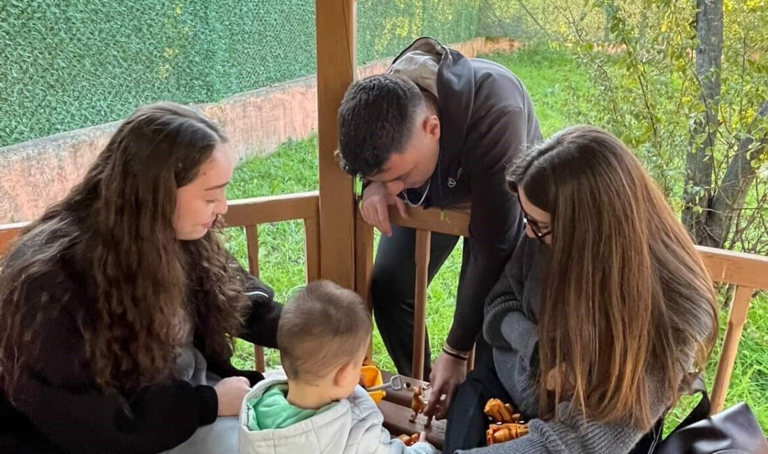 Yalova Üniversitesi Siyaset Bilimi ve Kamu Yönetimi Kulübü, "Oyuncağını Kap